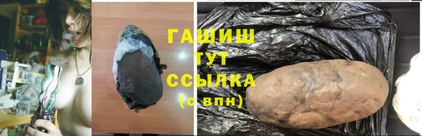 стаф Ладушкин