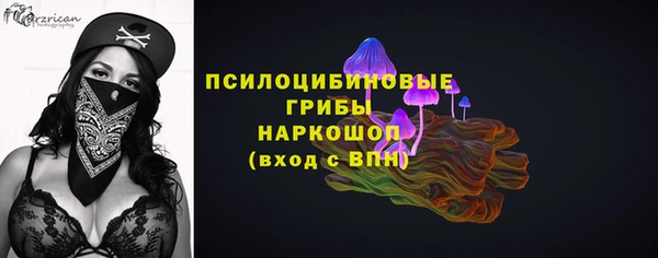 не бодяженный Лабытнанги