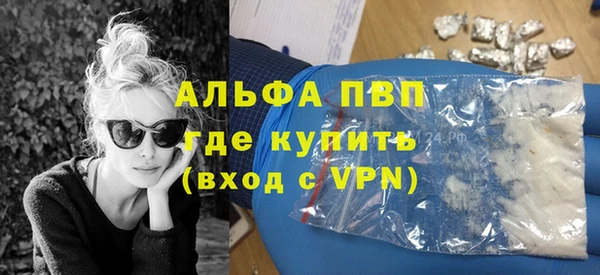 стаф Ладушкин