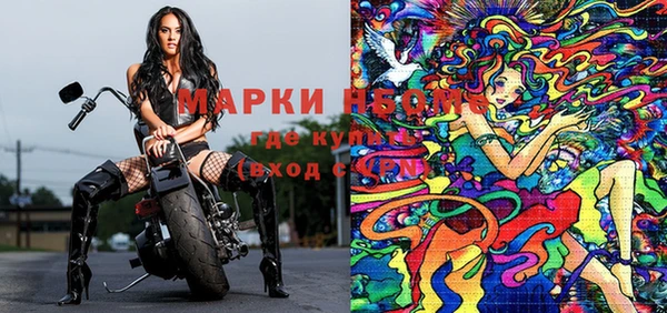 стаф Ладушкин