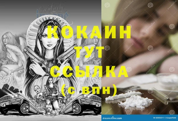 стаф Ладушкин