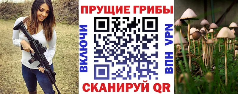 Галлюциногенные грибы MAGIC MUSHROOMS  Купить  Верхотурье 